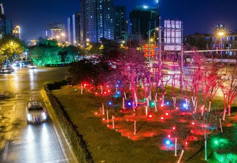 南充市政亮化荔枝视频在线观看无码制作施工安装