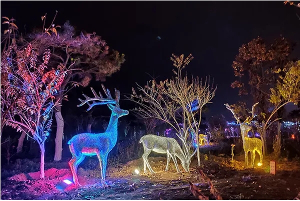 成都照明亮化荔枝视频在线观看无码制作安装